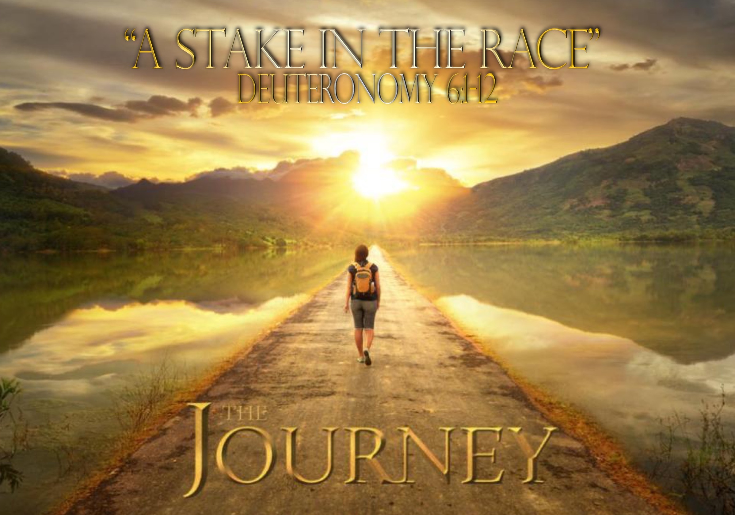 The Journey | A Stake In The Race Image