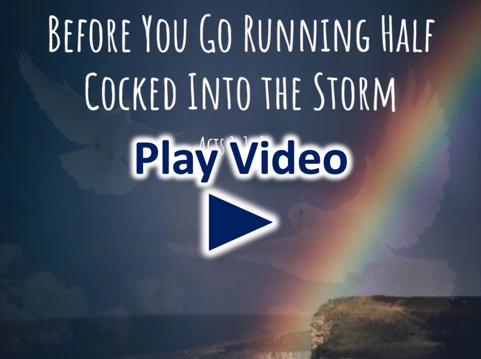 Before You Go Running Half-Cocked into the Storm Image