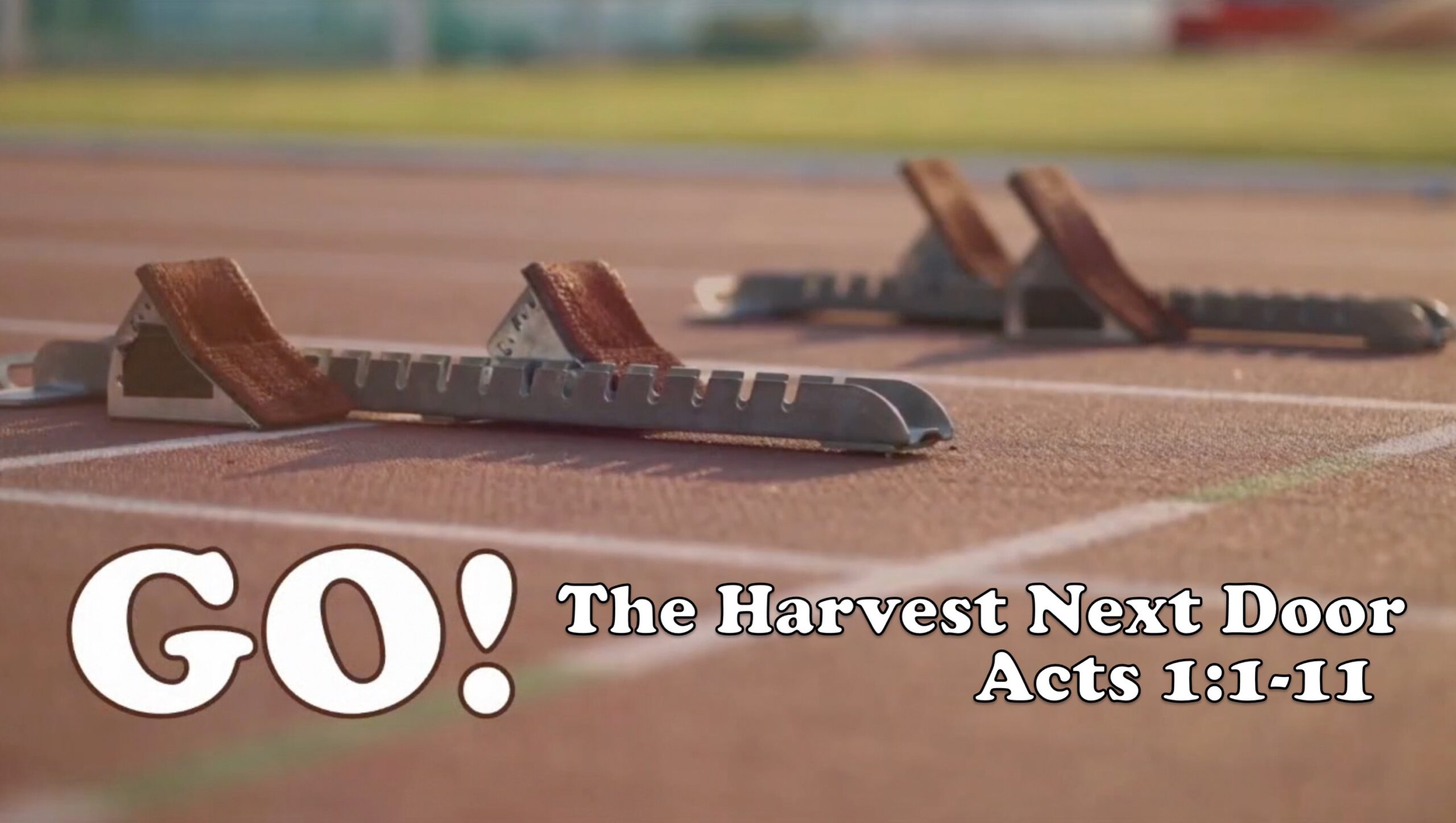 Go! The Harvest Next Door